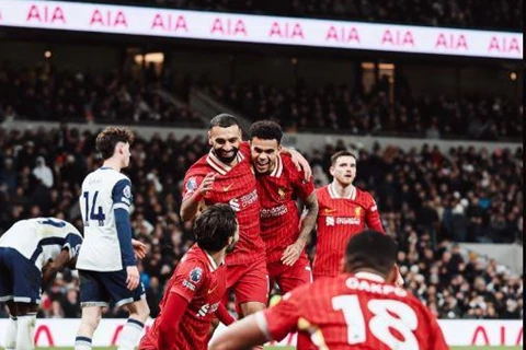 قمتان ومواجهة الحصان الأسود.. ماذا ينتظر ليفربول في يناير 2025؟